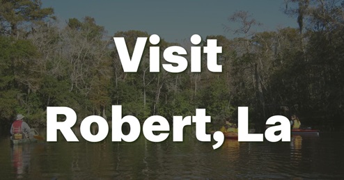 visit robert louisiana graphic - savannahs subdivision in robert,la