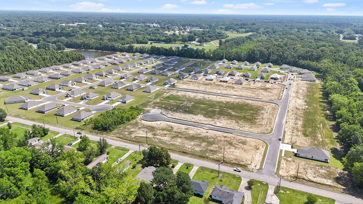aerial view of community
