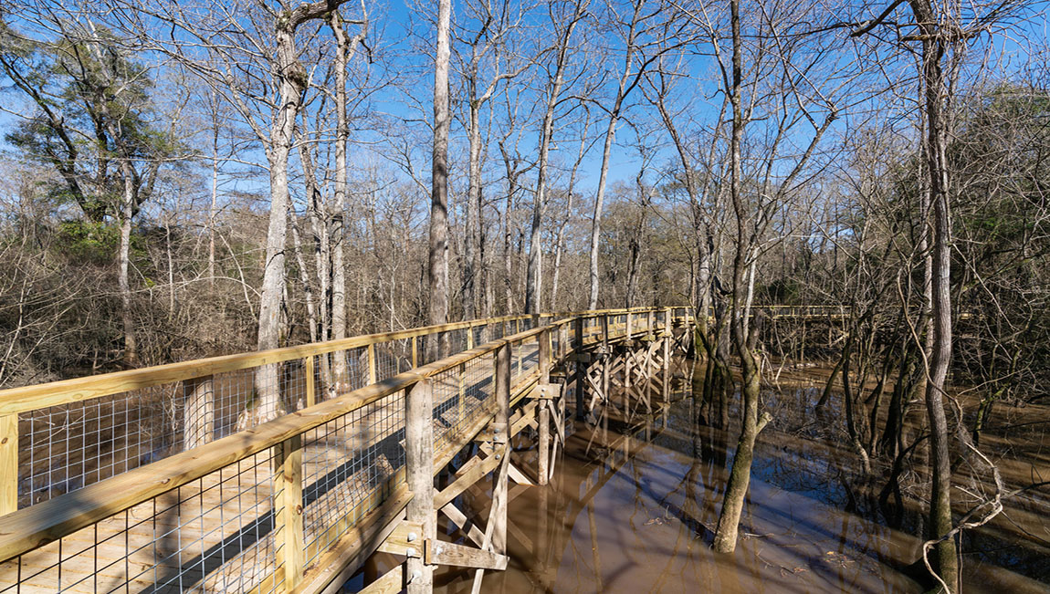 New Homes in Cypress Reserve Ponchatoula, LA D.R. Horton