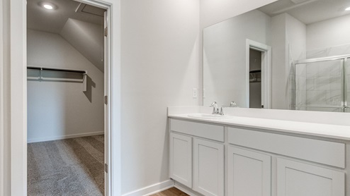 primary bathroom with walk-in closet