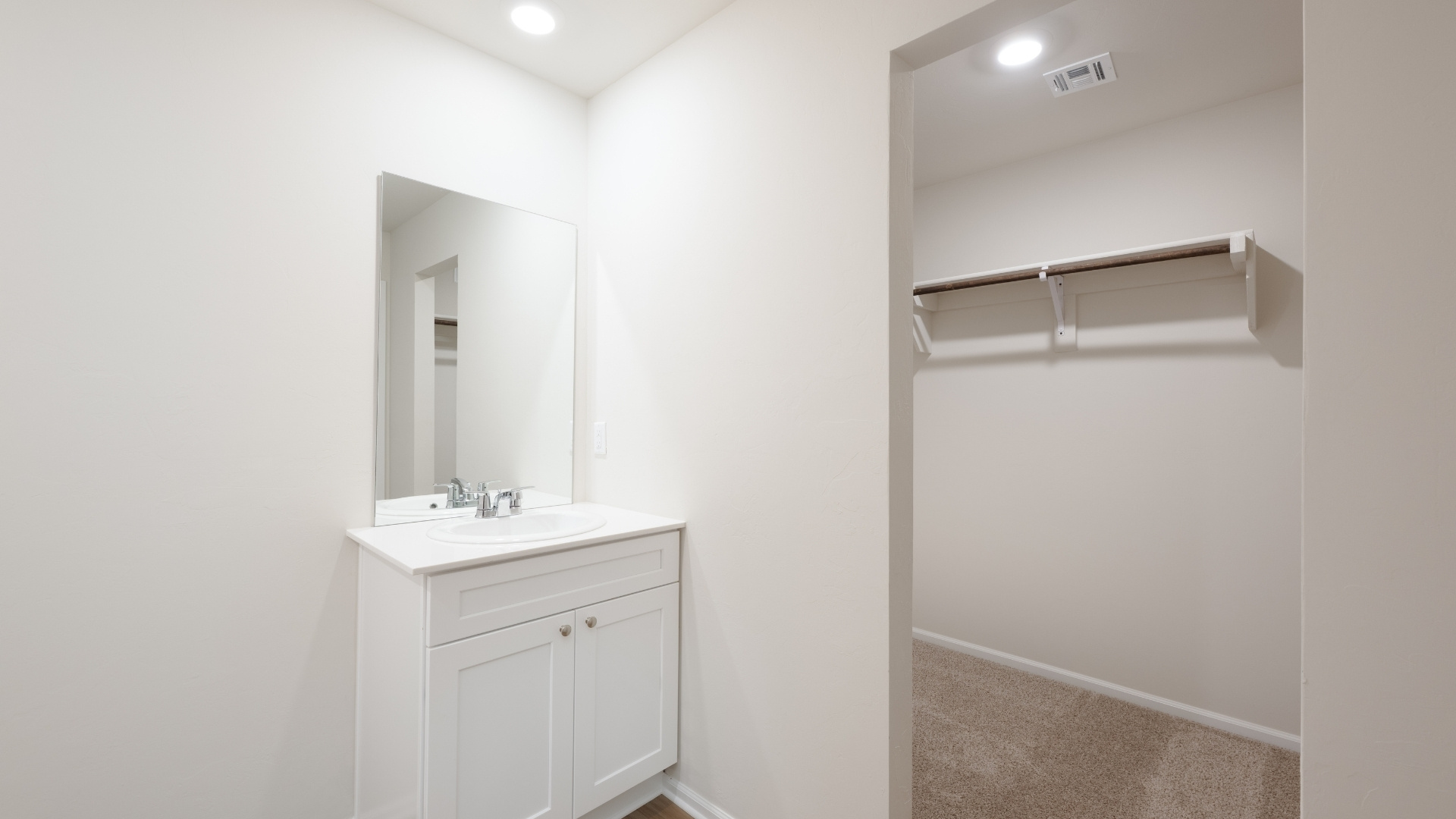 priamary bathroom with vanity and walk in closet