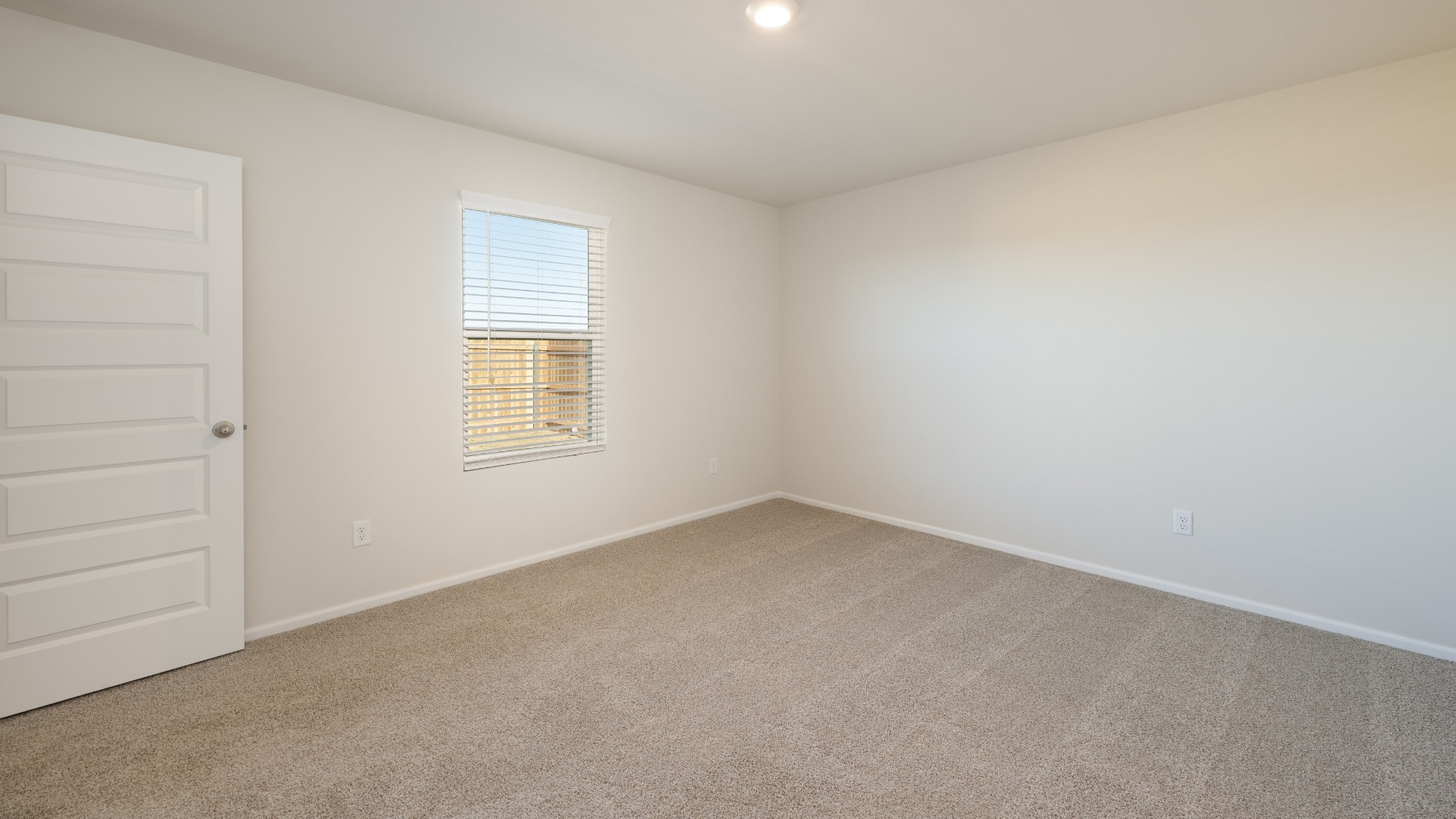 primary bedroom with window and carpet