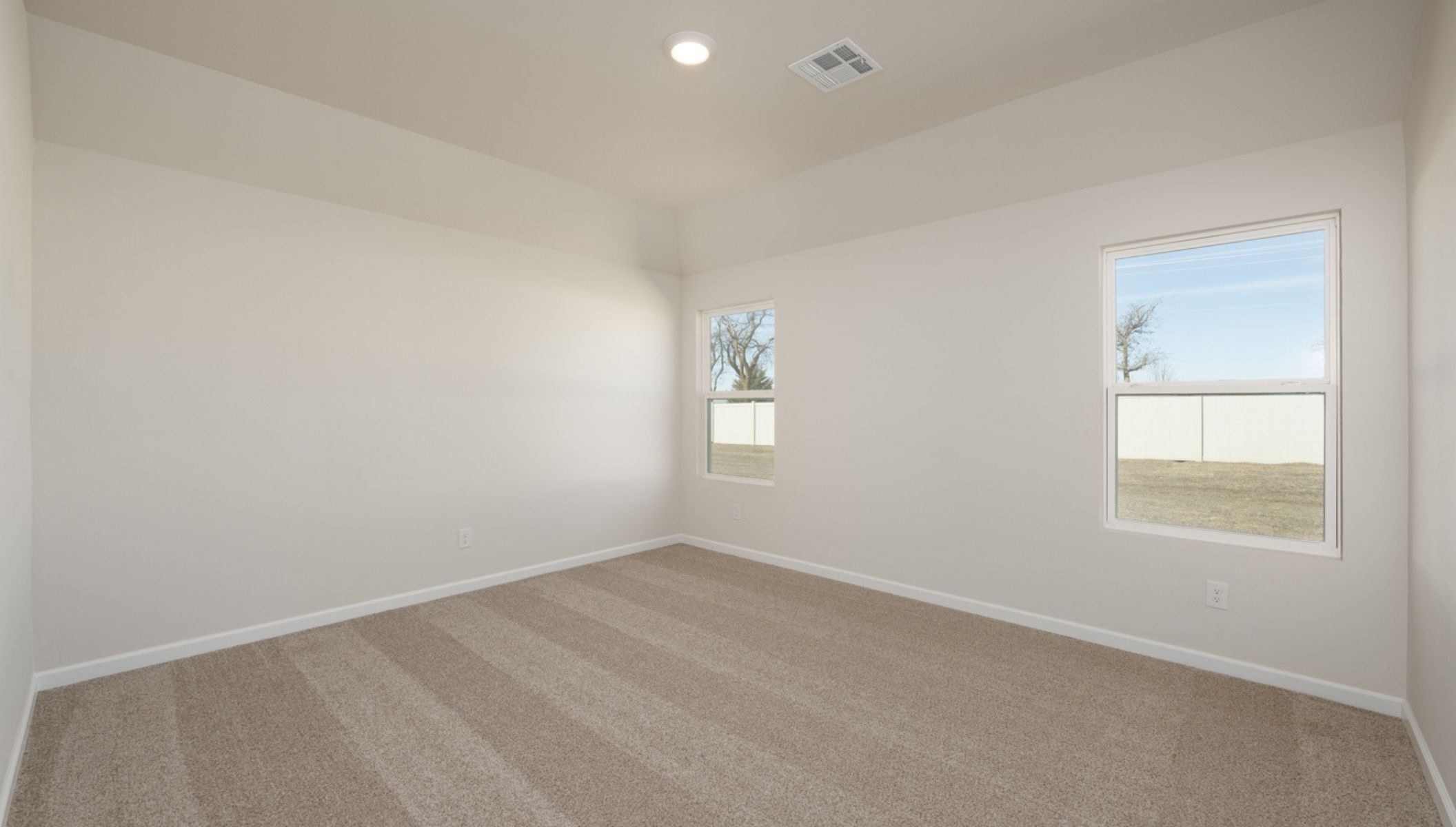 primary bedroom with carpet and windows