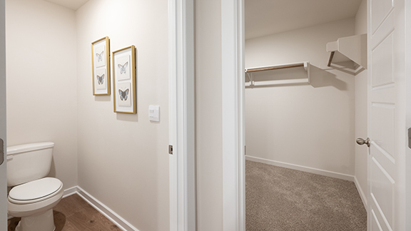 Primary bathroom toilet and closet
