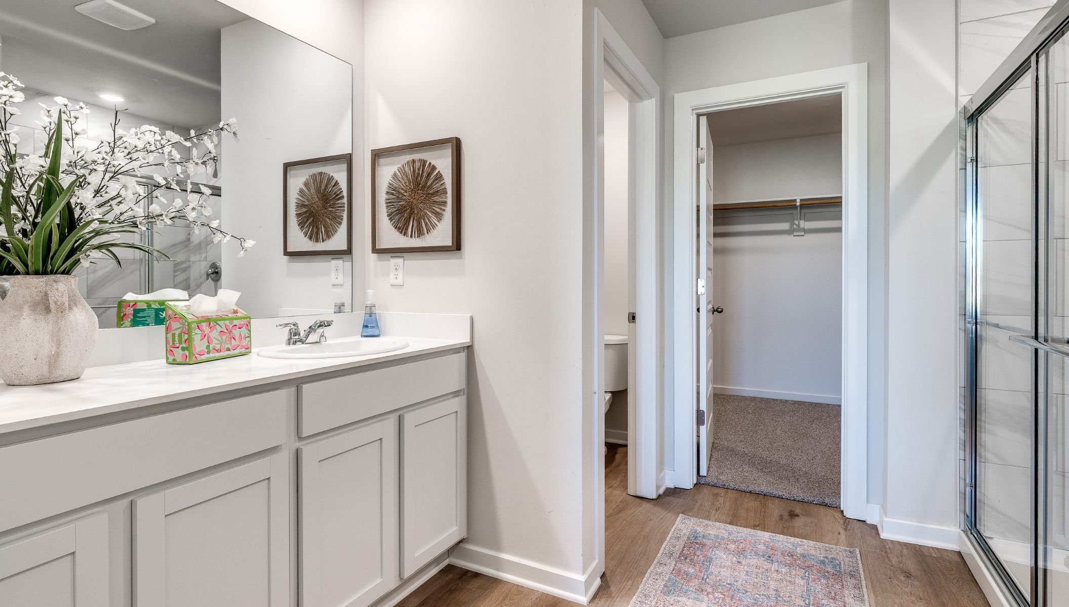 primary bathroom with vanity and walk in closet