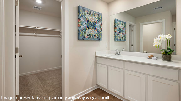 Bathroom featuring a walk in closet, vanity, and light wood finished floors