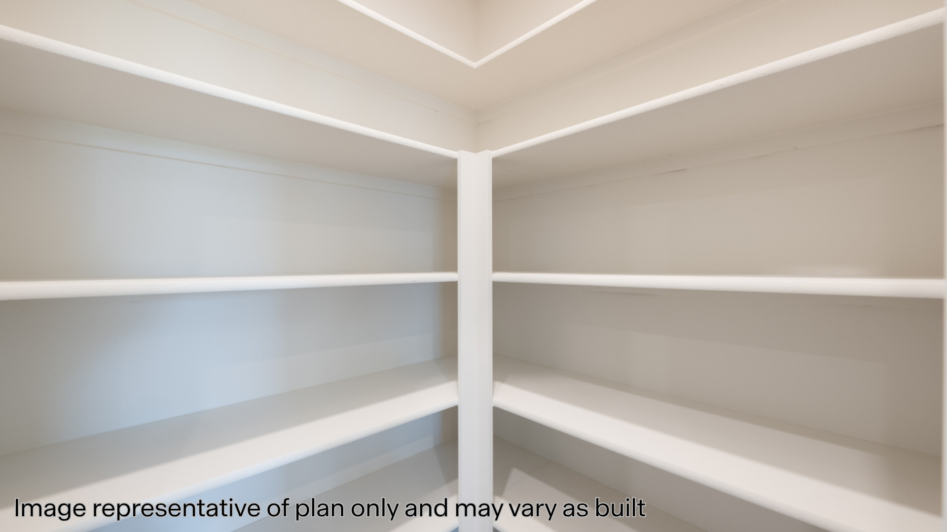 Pantry with shelving