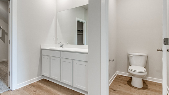 Bathroom with light wood-style flooring, vanity, and a spacious closet