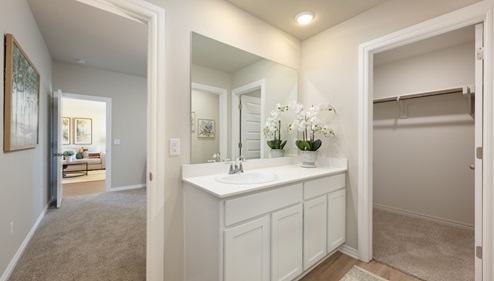 primary bathroom with vanity