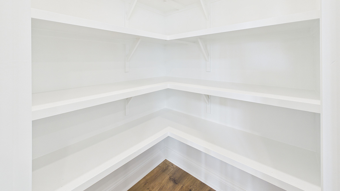 Welcome to the Cezelia