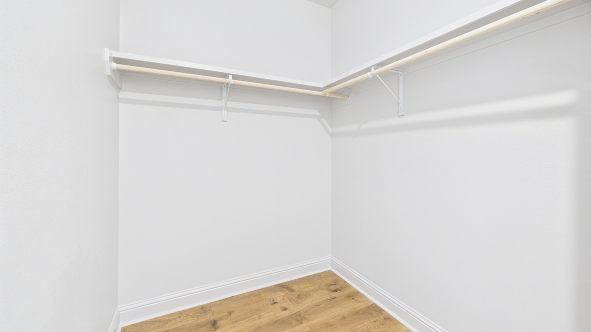 Welcome to the Odilia