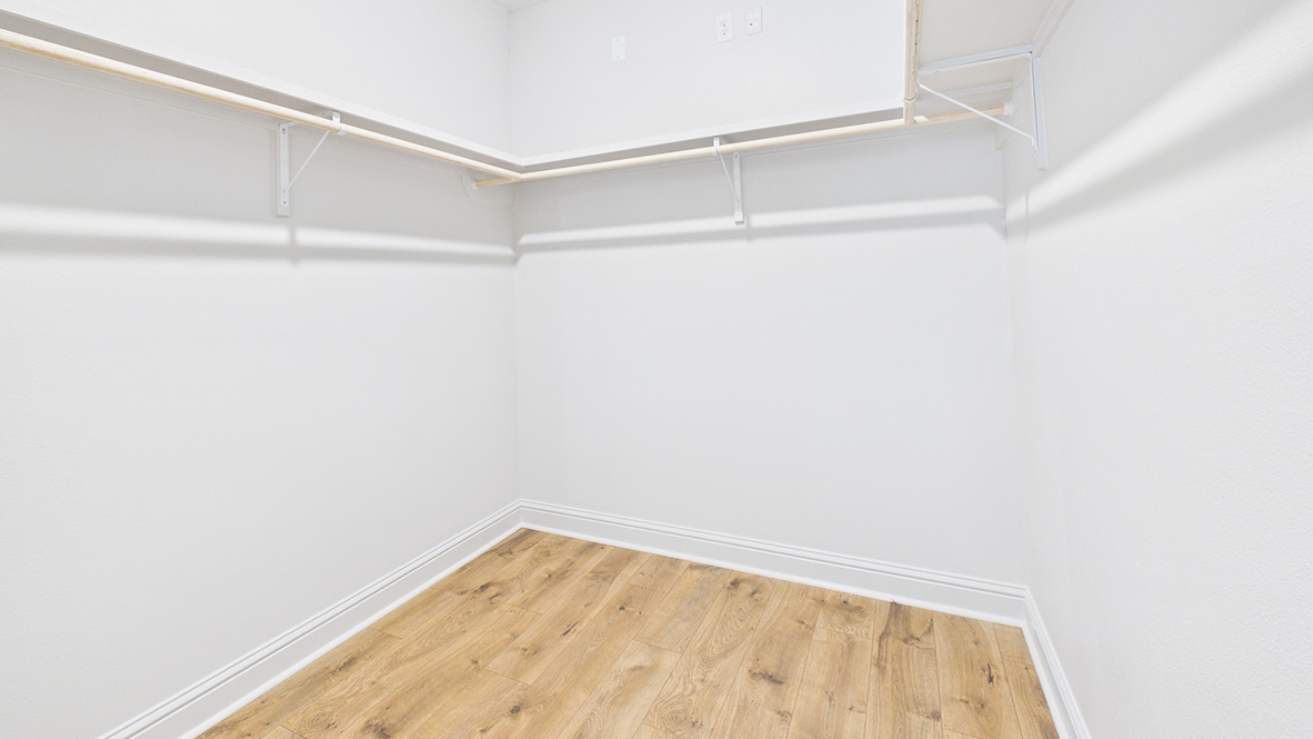 Welcome to the Odilia