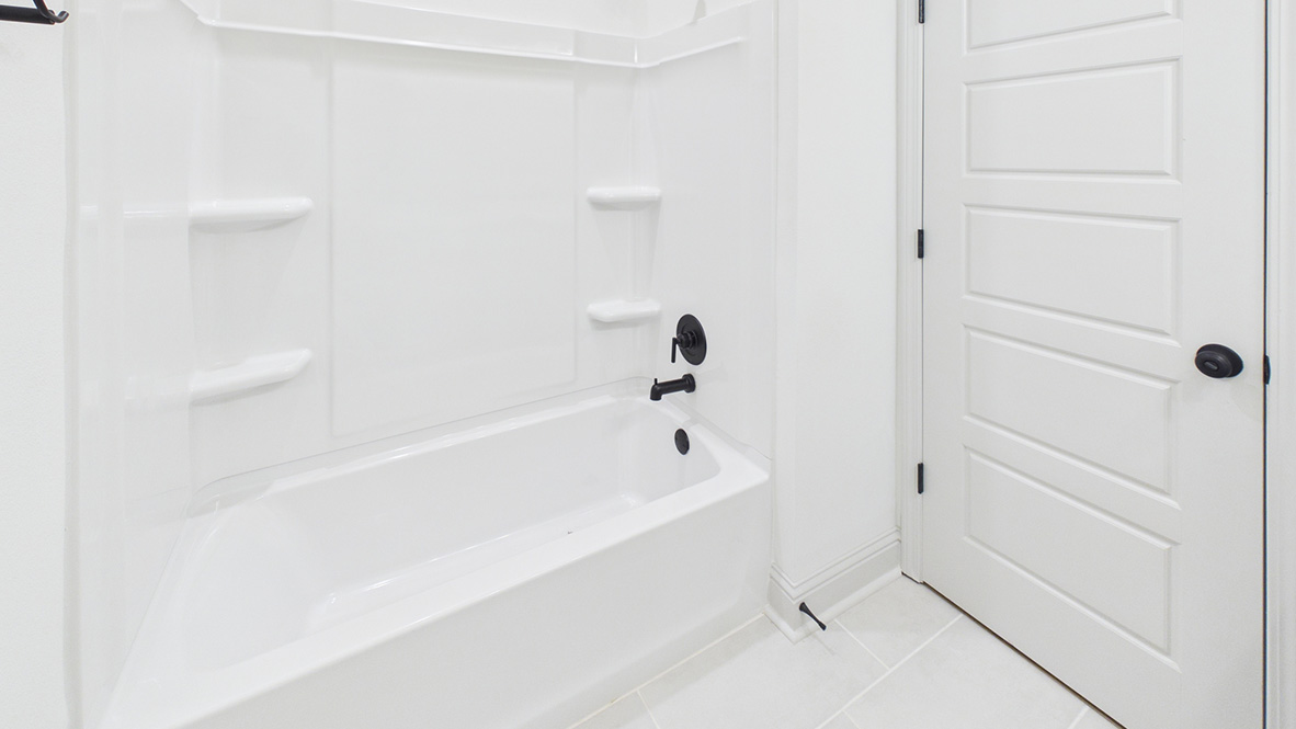 Welcome to the Odilia