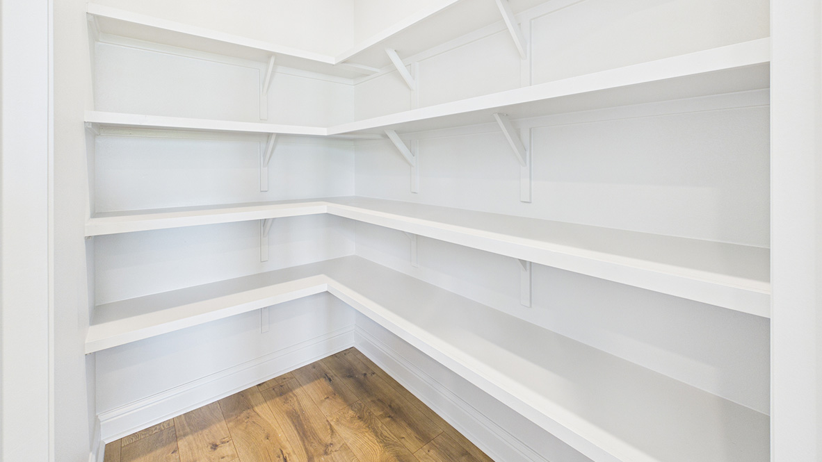 Welcome to the Odilia