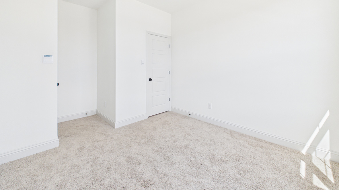 Welcome to the Odilia