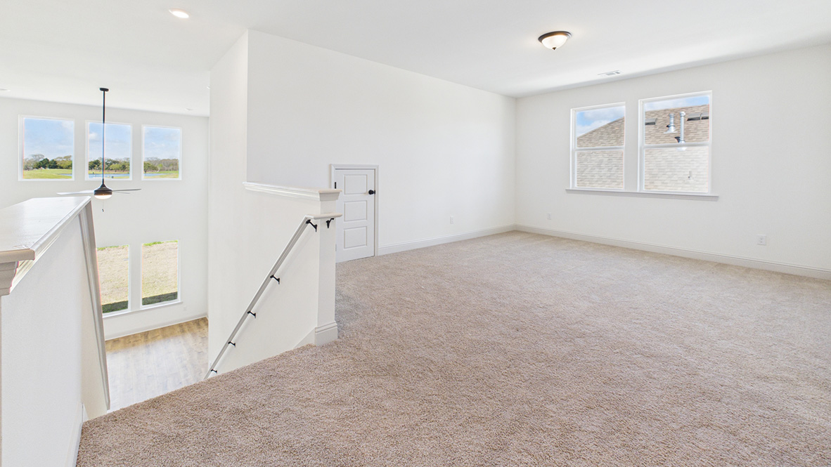 Welcome to the Odilia