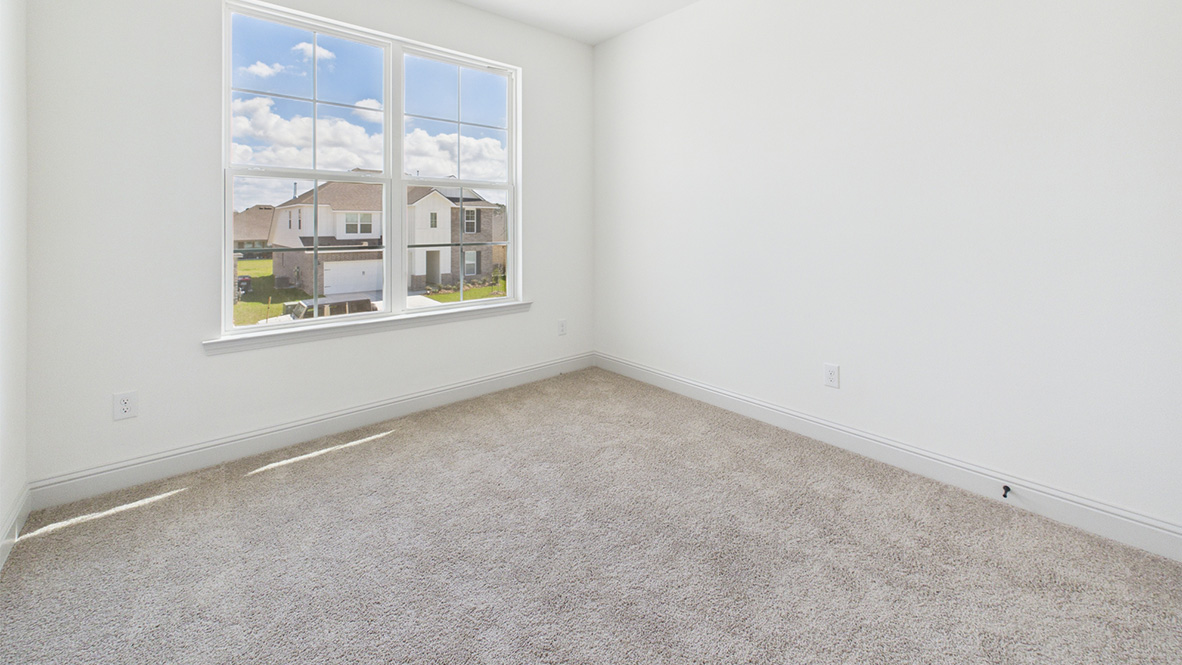 Welcome to the Odilia