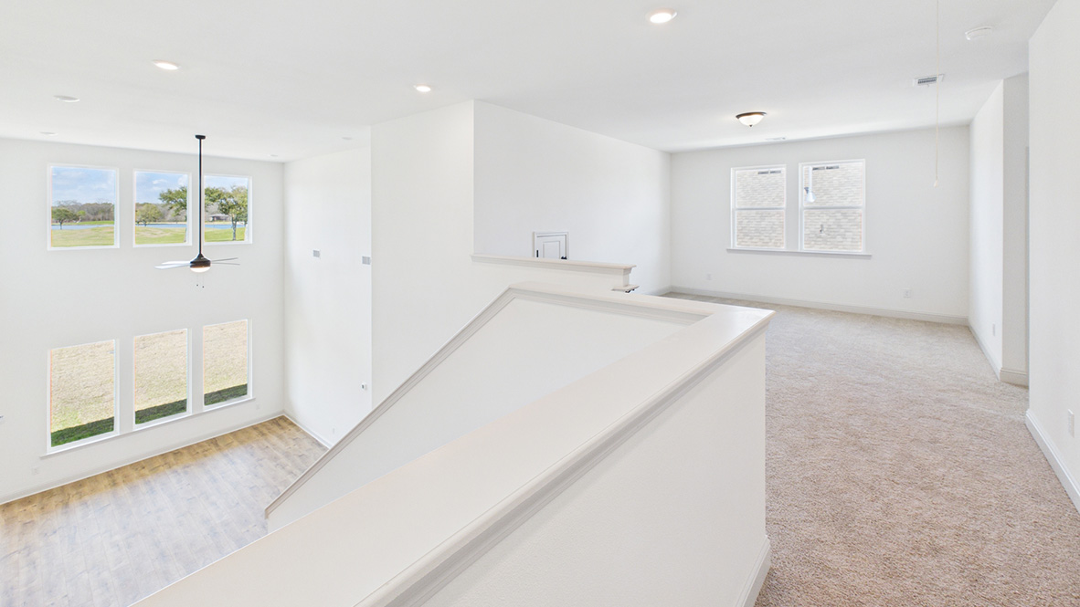 Welcome to the Odilia