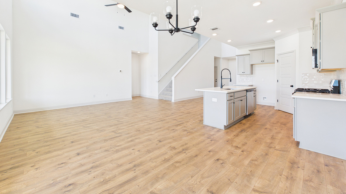 Welcome to the Odilia