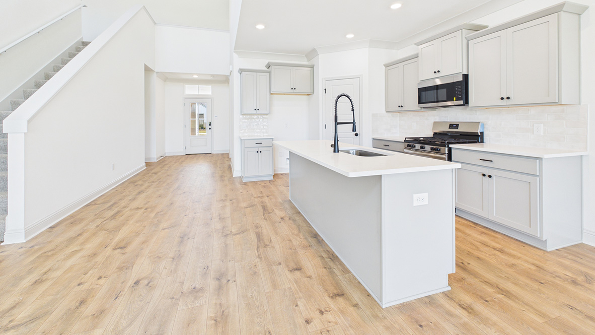 Welcome to the Odilia