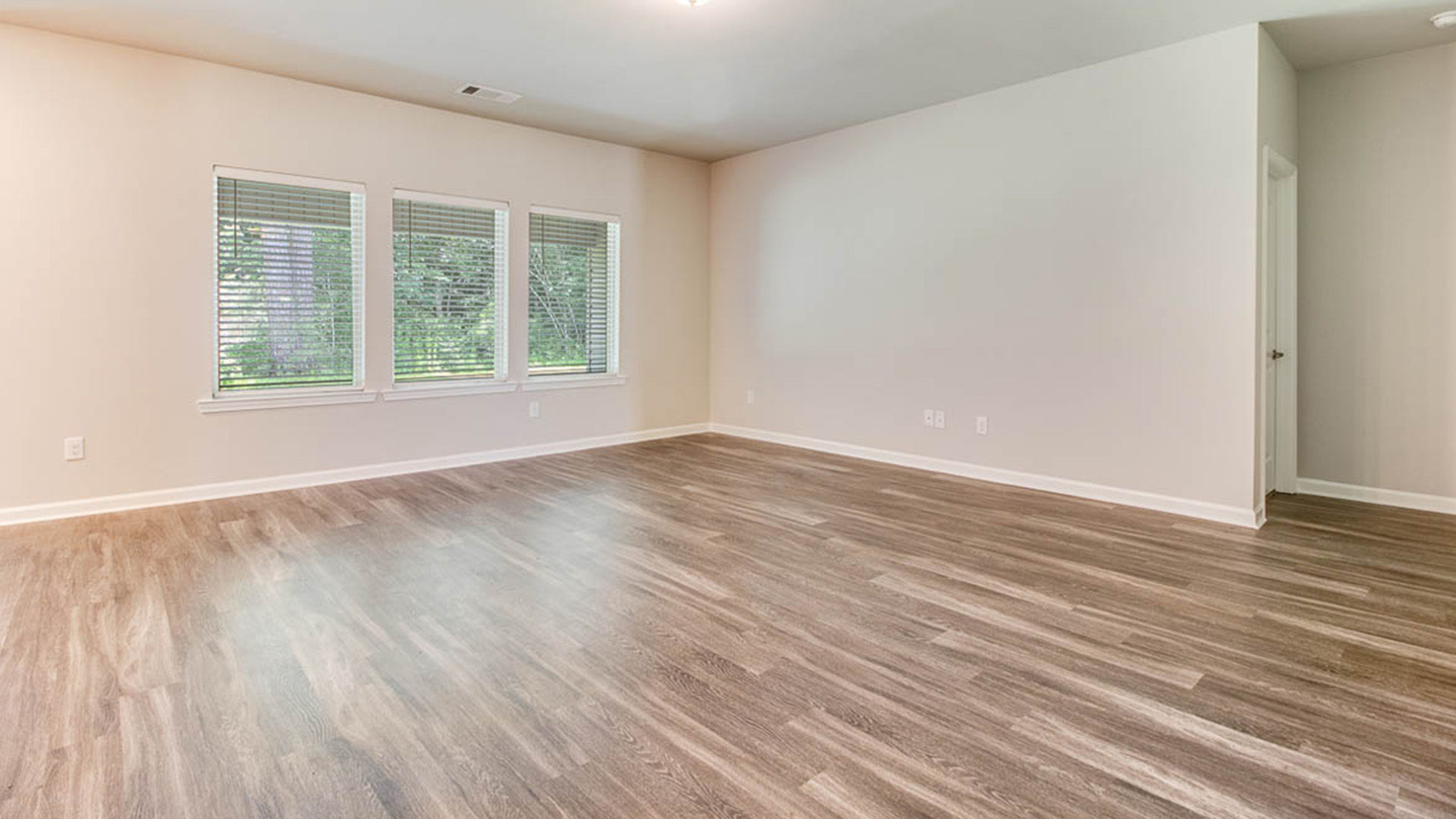 Welcome to the Hudson plan in Parc Ridge new home community