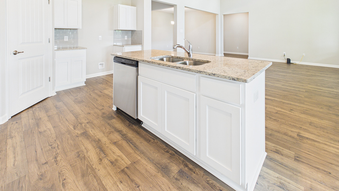 Welcome to the Ventress Plan in Parc Ridge new home community