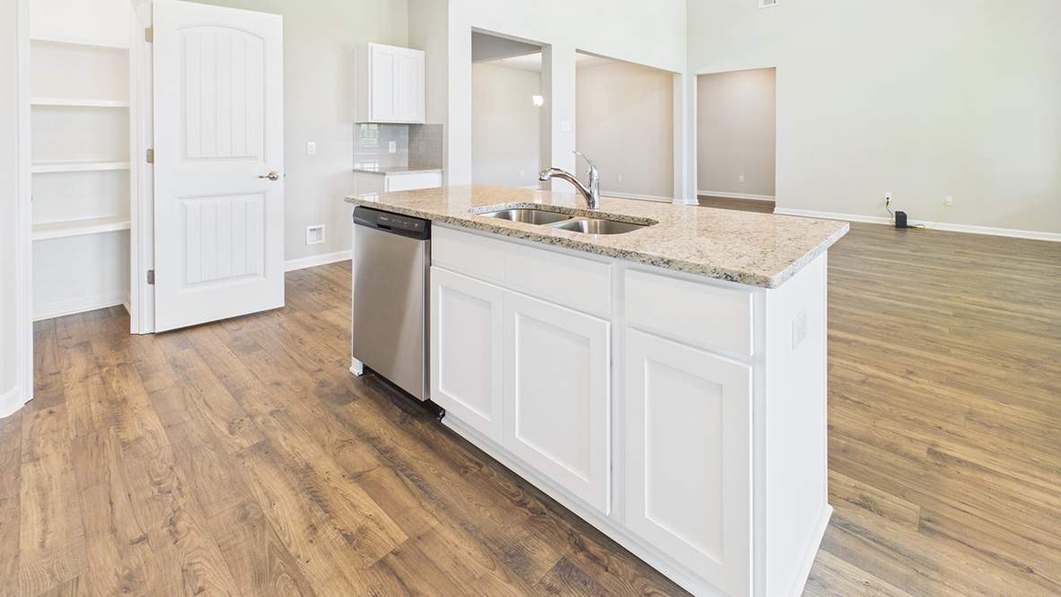 Welcome to the Ventress Plan in Parc Ridge new home community