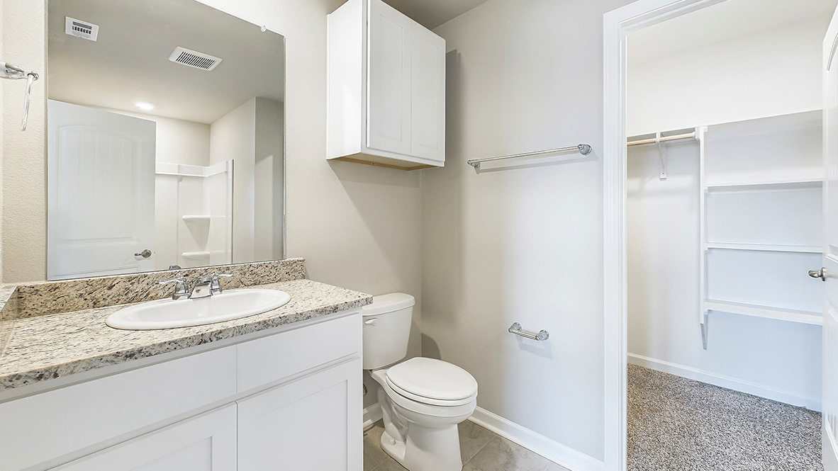 bathroom with a vanity sink, toilet and shower