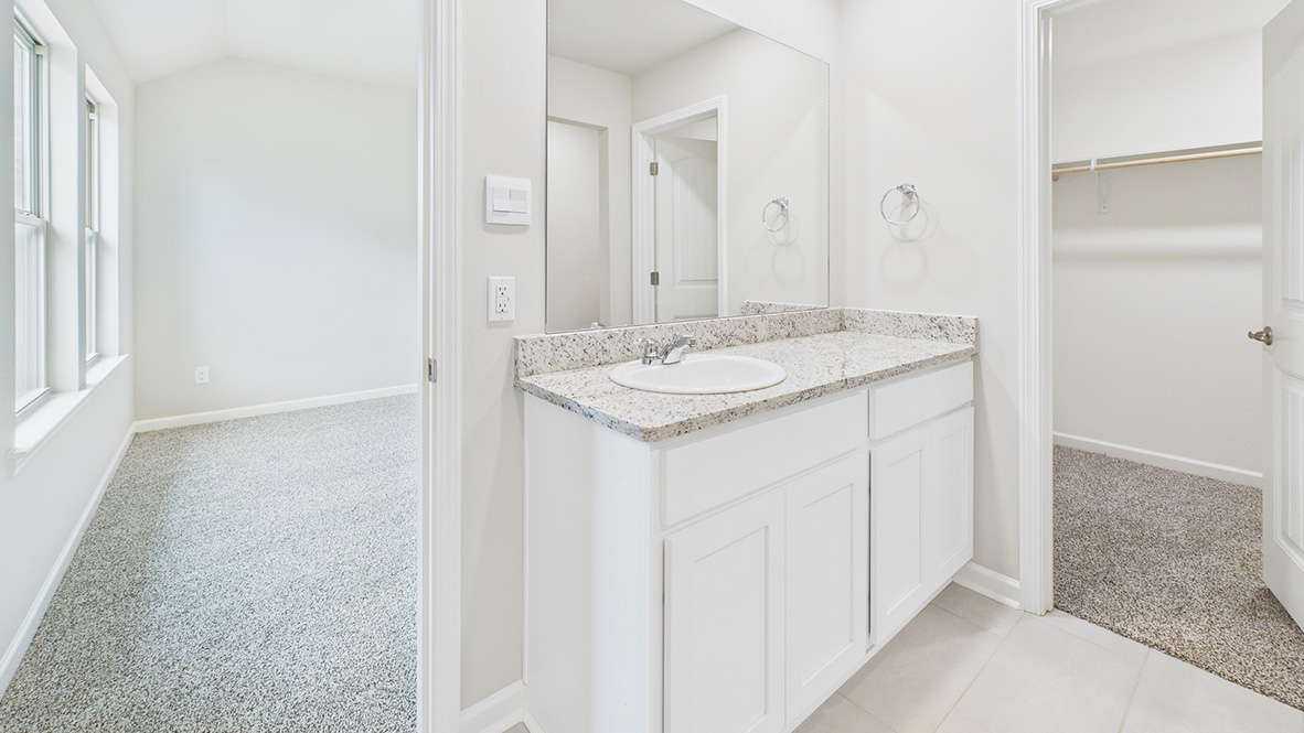 Bathroom with a sink and a walk in closet.