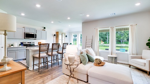 HollisHeights_NewHome_ sunset_louisiana_furnishedmodelhome