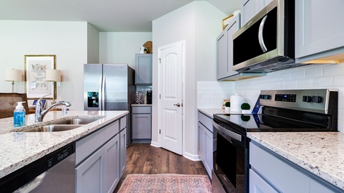 HollisHeights_NewHome_ sunset_louisiana_furnishedmodelhome