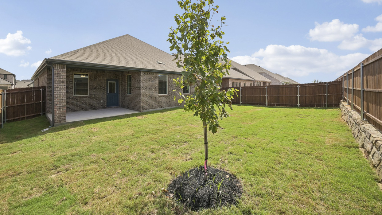 Rivington Floorplan Elevation E Backyard Gallery Image - Silverado in Aubrey, TX