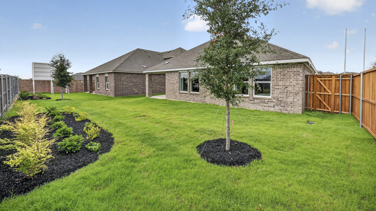 Texas Cali Floorplan Backyard Gallery Image-Whitewing Trails in Princeton, Tx