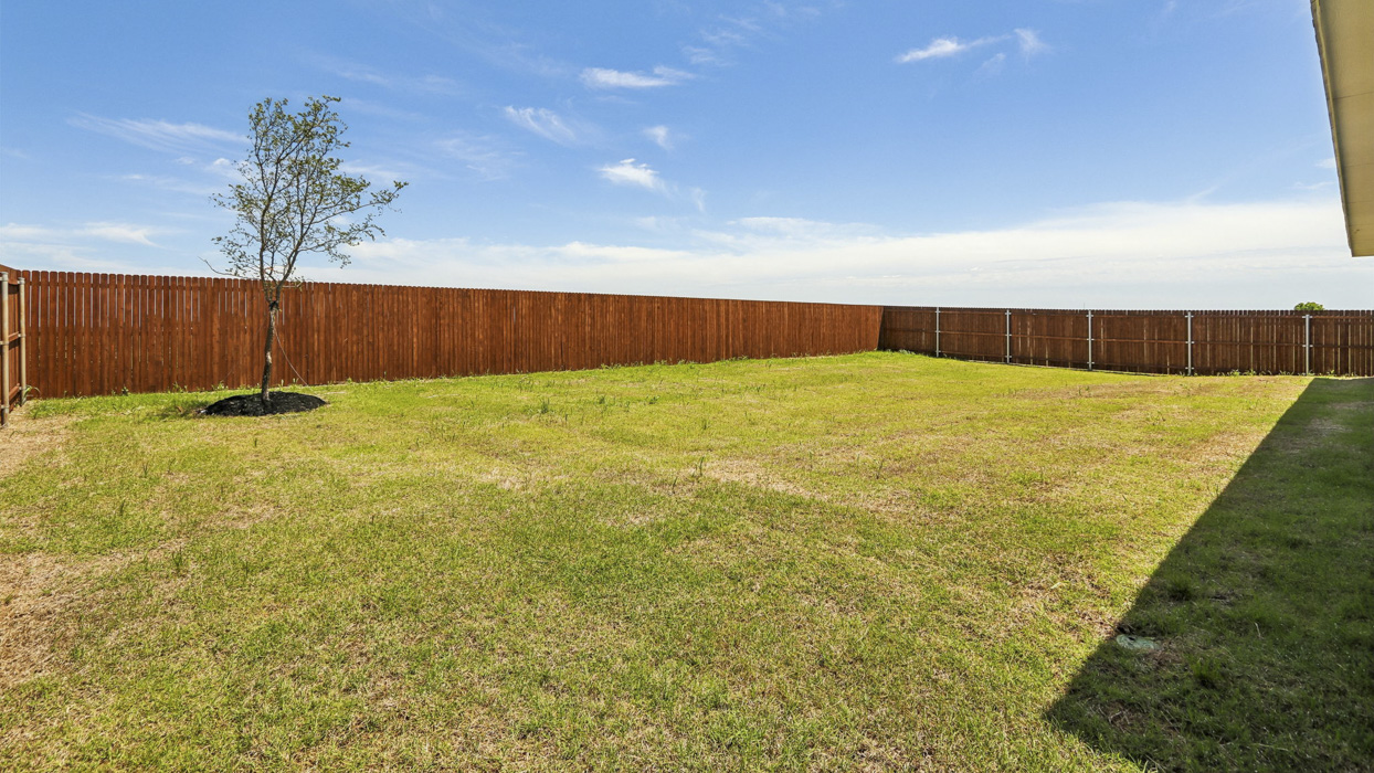 Daurian Floorplan Backyard Gallery Image - Windrose in Pilot Point, TX