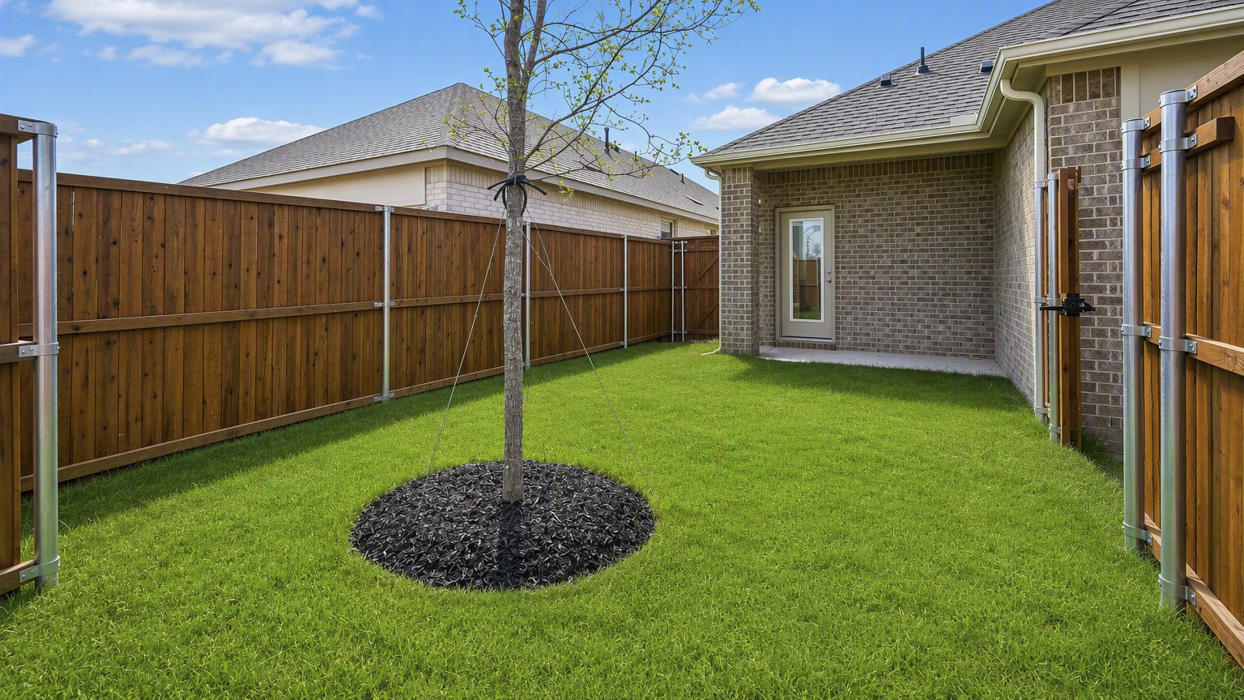 Draven Floorplan Backyard Gallery Image - Magnolia at Legacy Hills in Celina, TX