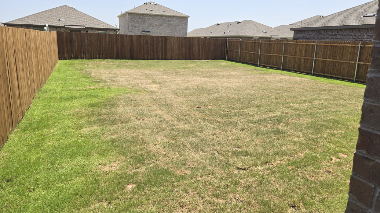 Davis floorplan Backyard-Creekside Ranch in Blue Ridge, Tx