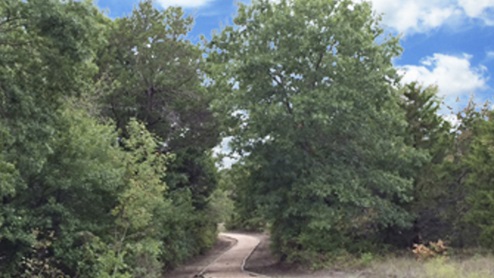 Bear Creek walking trails image