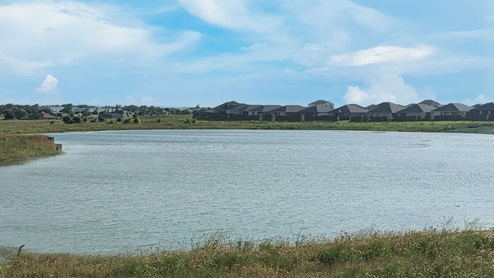 pond