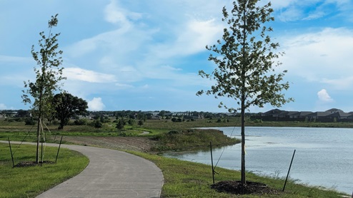 trail