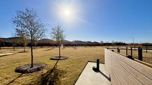 dog park
