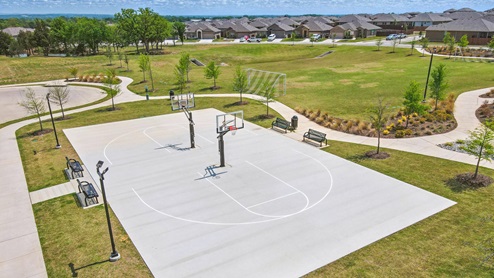 basketball court