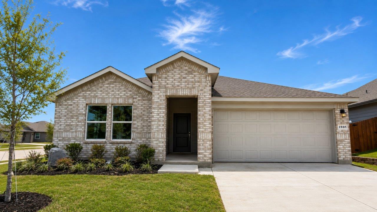 2901 Hornbill Street exterior