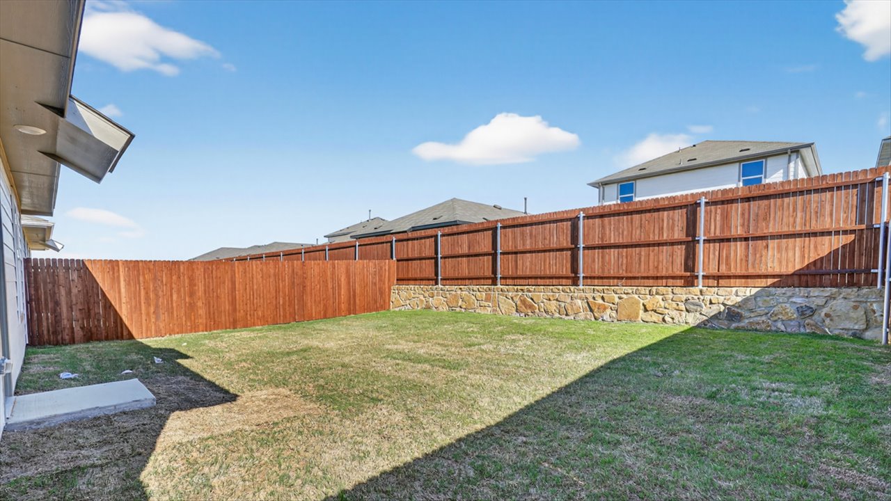 Back Yard