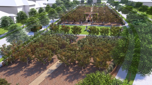 The Grove