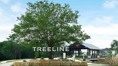Treeline Entry