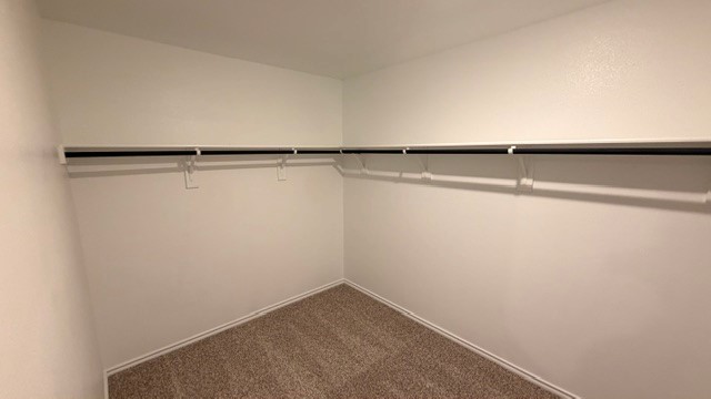 primary closet