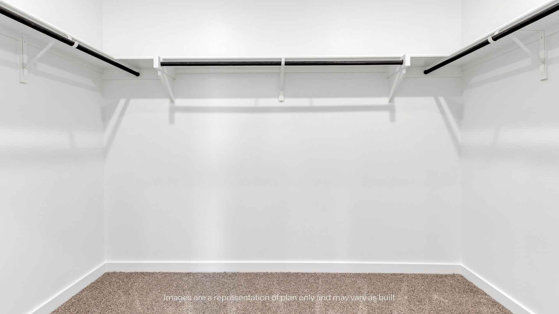 Walk-in closet with carpet flooring and hanging rods on three walls.