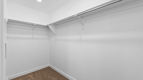 Primary walk-in closet in bedroom.