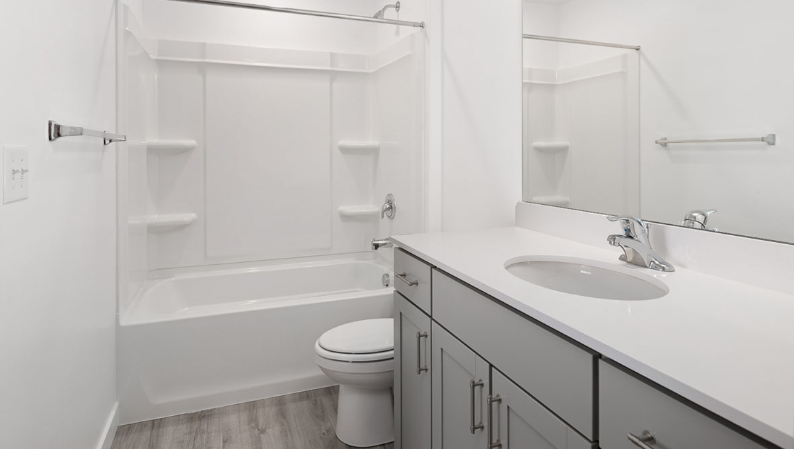 Full size bathroom with light grey shaker cabinets and a tub shower combination and toilet.