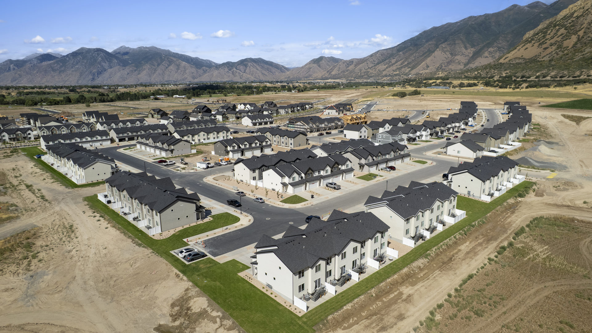 Viridian aerials August